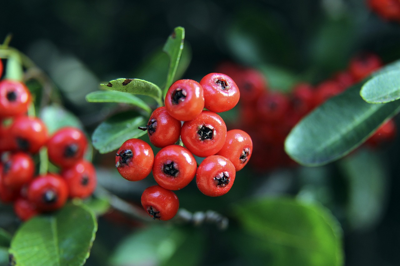 一場勝利 一場勝利