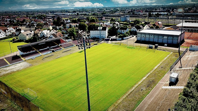 即将落幕的 即将落幕的